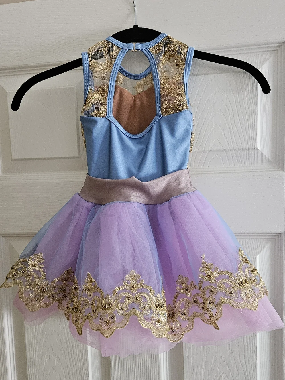 Blue & Pink Gold-Trim Tulle Dance Costume 